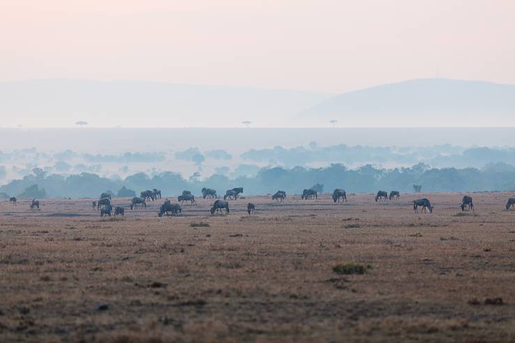 Afrique © Alexander Shalamov/BlueOrange Studio/stock.adobe.com