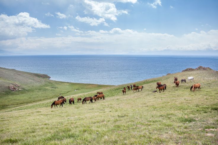 Lac Son Koul - Kirghizstan © Evgeny_D/Getty Images/iStockphoto