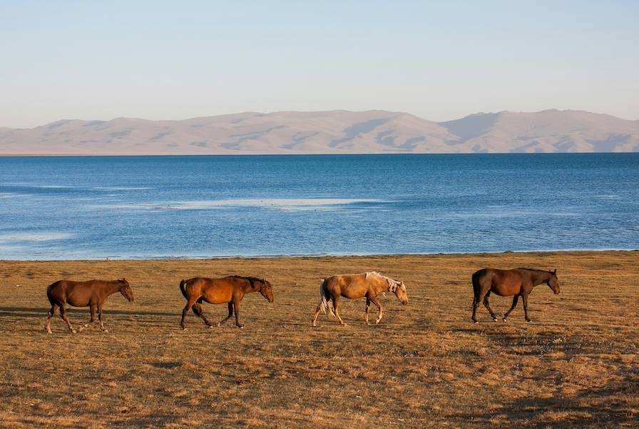 Lac Song Kul - Kirghizistan © Daniele Nabissi / Unsplash