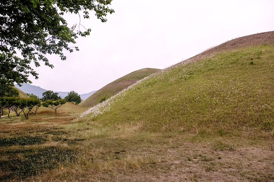 Parc des Tumulis - Gyeongju - Corée du Sud © Maryline Goustiaux