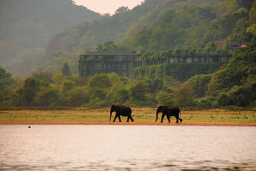 Dambulla - Sri Lanka © Droits reservés