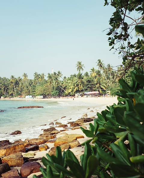 Sri Lanka © Fredrik Ohlander/Unsplash