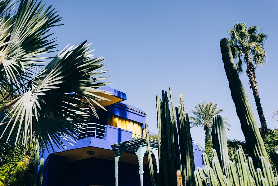 Jardin Majorelle - Maroc © Armand Lagrange