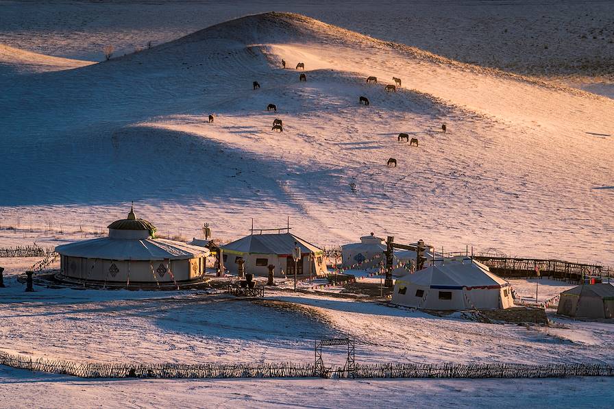 Mongolie © William Yu/Getty Images