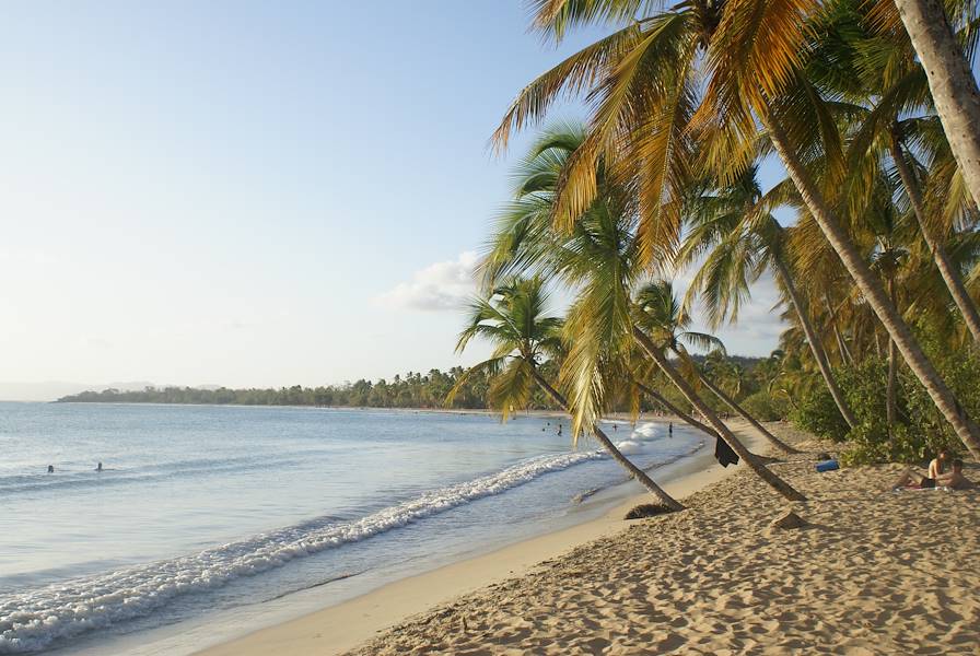 Plage de Sainte-Anne - Martinique © karine - stock.adobe.com