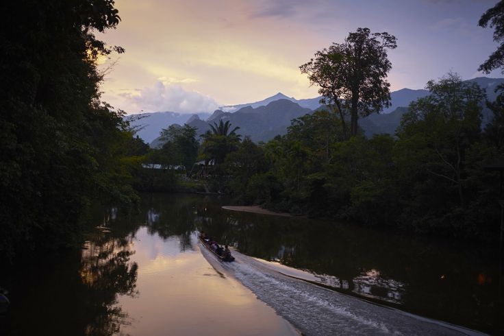 Mulu - Malaisie  © Droits reservés