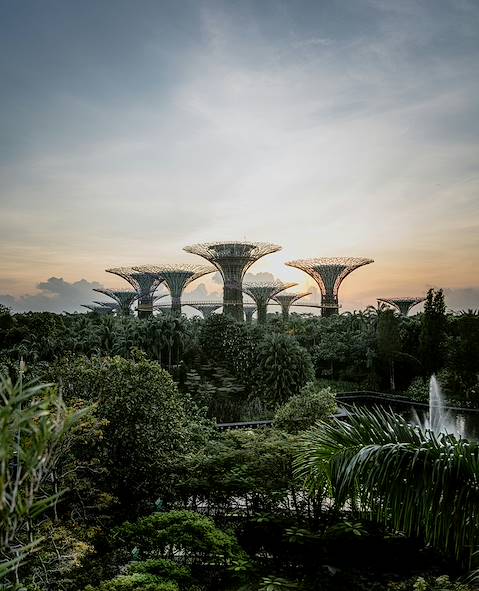 Gardens by the Bay - Singapour © Isaac / Unsplash.com