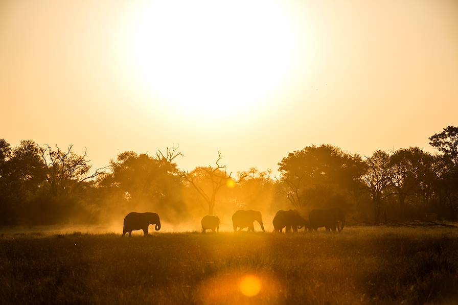 Khwai - Botswana © Droits reservés