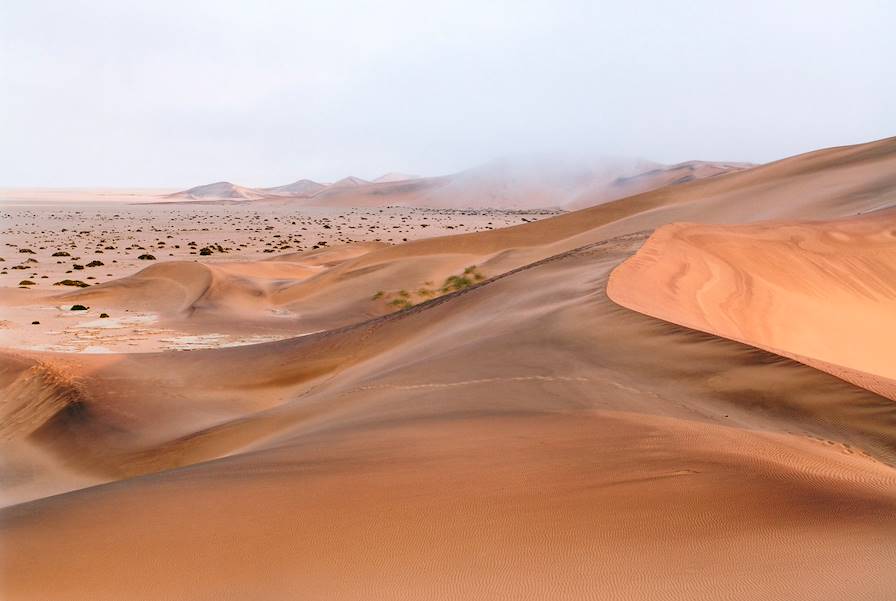 Walvis - Région de Swakopmund - Namibie © Stefan Volk/LAIF-REA