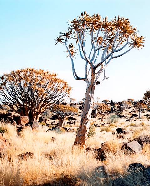 Namibie © Stefan Volk/LAIF-REA