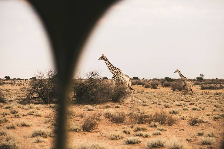 Désert du Kalahari - Namibie © Un cercle