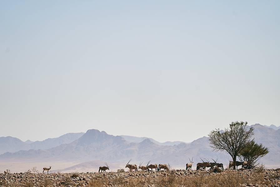 Parc national d'Etosha - Namibie © Djisupertramp