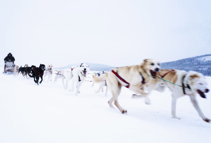 Laponie - Norvège © Gunnar Knechtel/LAIF-REA