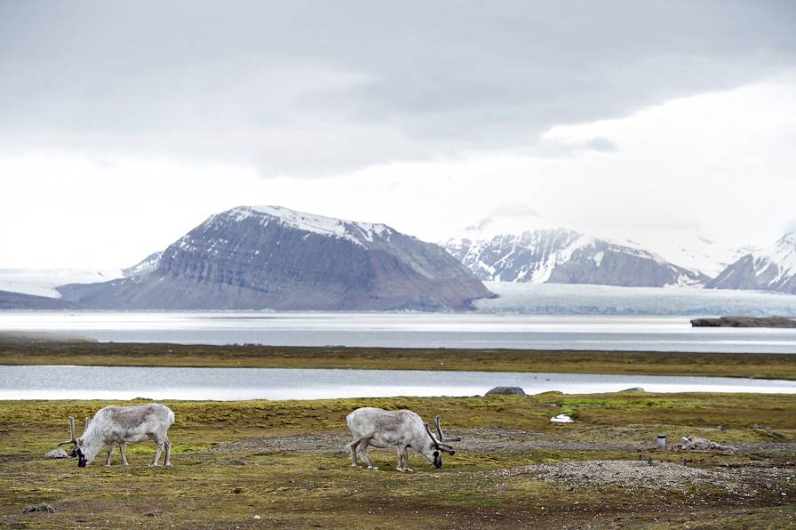 Spitzberg - Archipel du Svalbard - Norvège © Planet Pix/Zuma-Rea