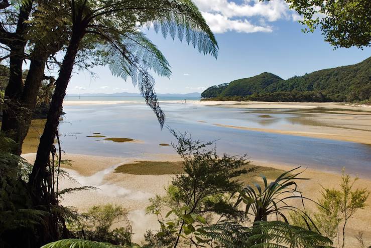 Parc national Abel Tasman - Nouvelle-Zélande © Getty Images/iStockphoto