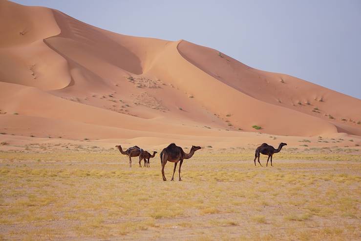 Oman © François Gagner 