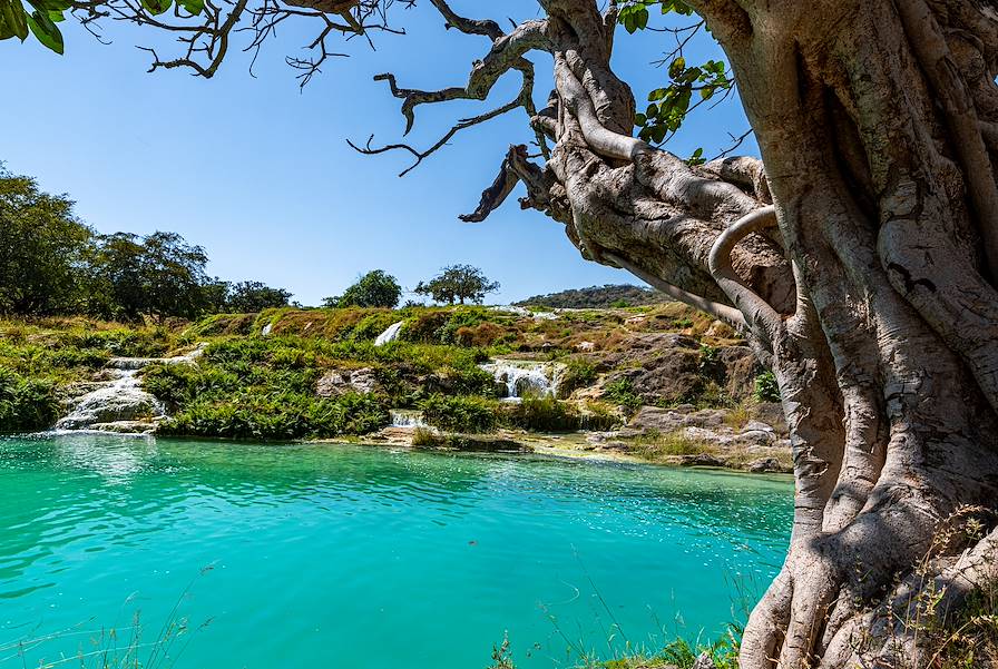 Salalah - Oman © Getty Images/Westend61