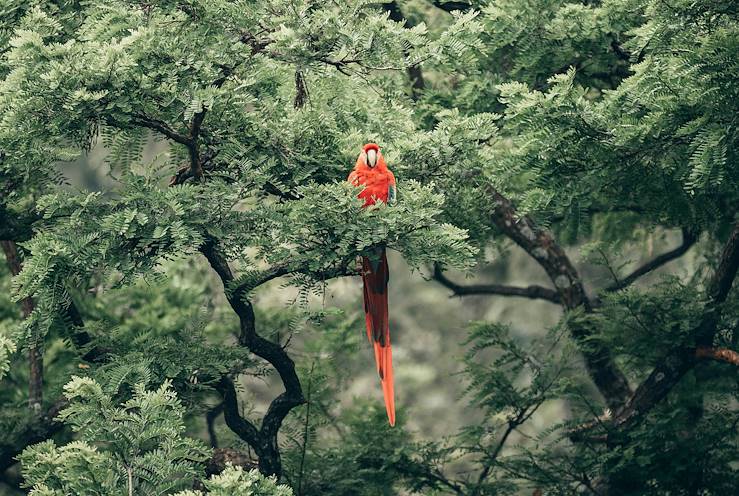 Panama © Roberto Nickson/Unsplash