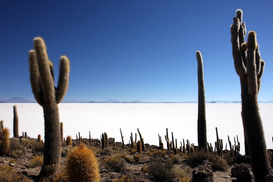 Incahuasi - Salar d'Uyuni - Bolivie © Roger Salazar / Gaston Sacaze