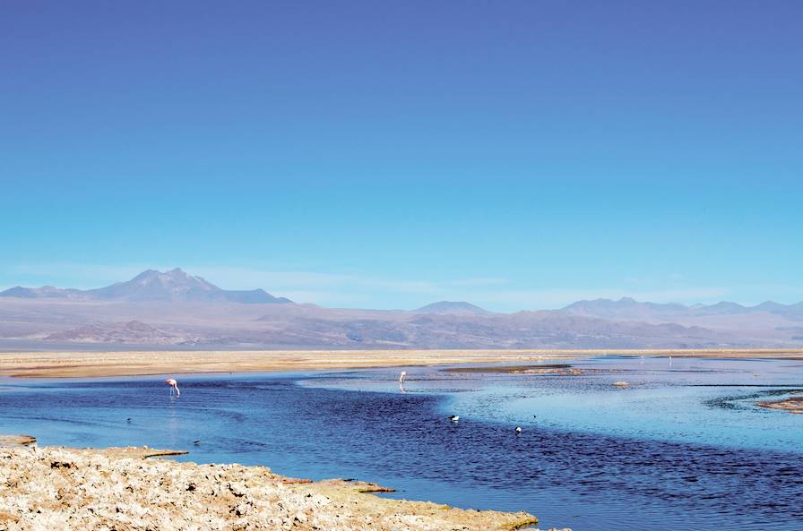 Laguna Cejar - Antofagasta - Chili © Leolago/Getty Images/iStockphoto