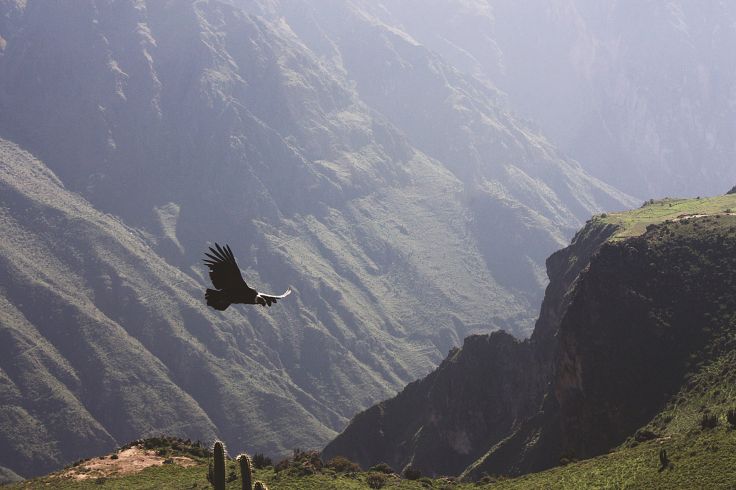 Momies Incas dans les Andes Péruviennes