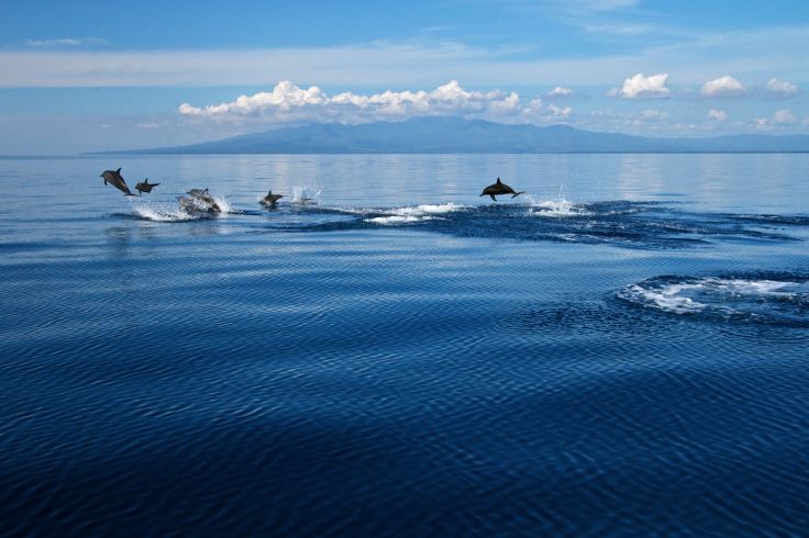 Dumaguete - Philippines © Steve De Neef