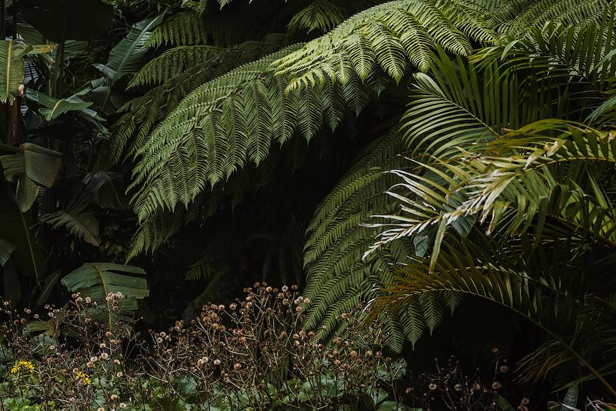 Açores - Portugal © Salva Lopez