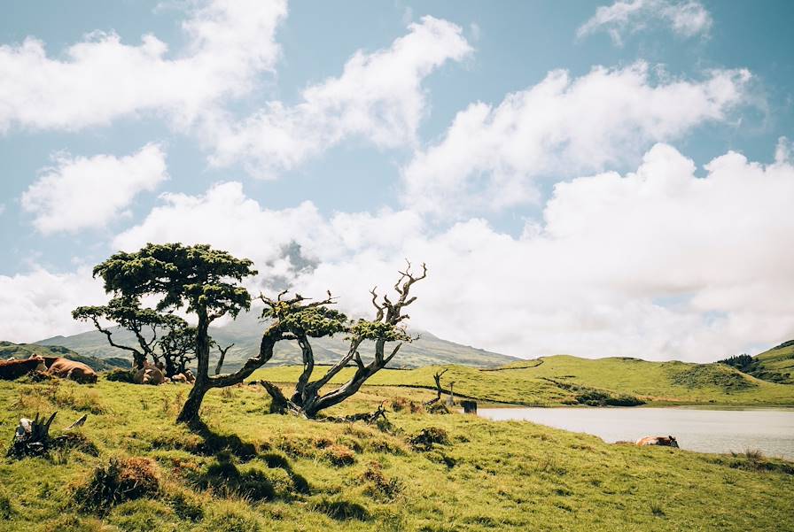 Açores - Portugal © Jérôme Galland