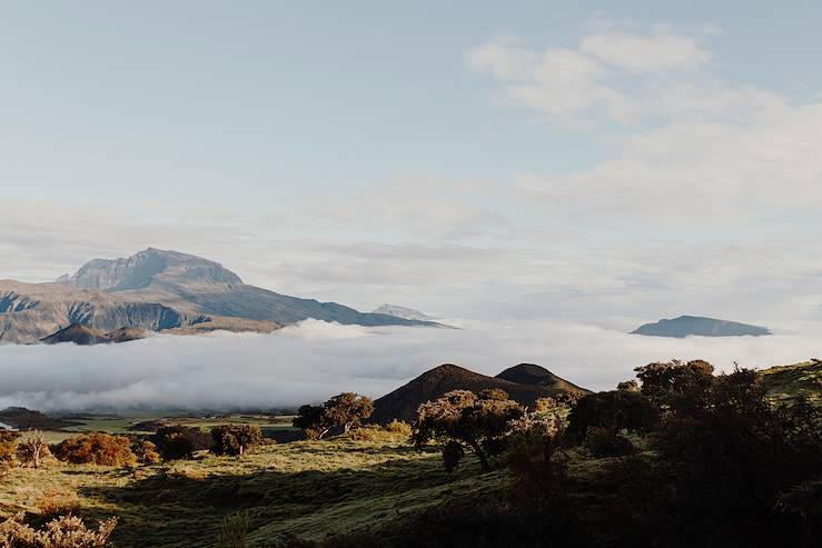 Plaine des Cafres - Réunion © Ludovic Jacome