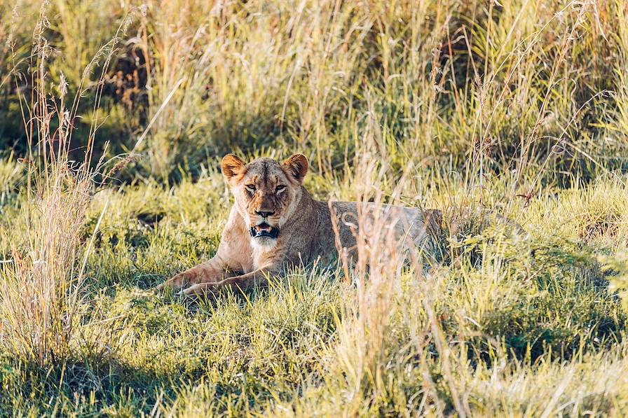 Parc de L'Akarega - Rwanda © Olivier Romano