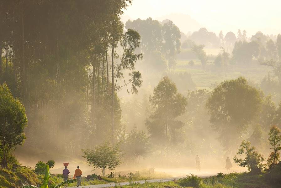 Nyungwe - Rwanda © Philip Lee Harvey