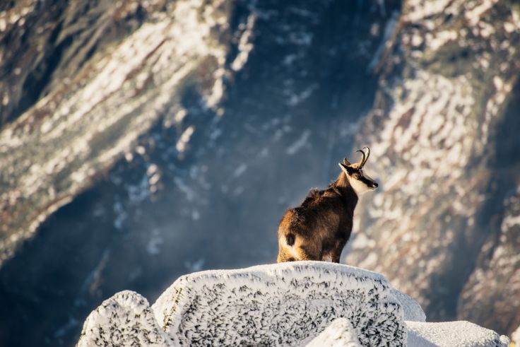 Hautes Tatras - Slovaquie © Dmytro Gilitukha/gilitukha/Fotolia