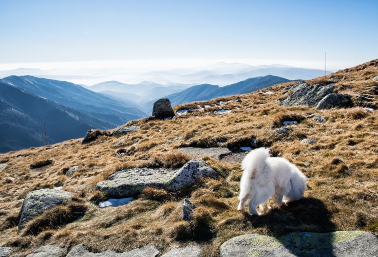 Tatras - Slovaquie © Peter Vrábel/stock.adobe.com