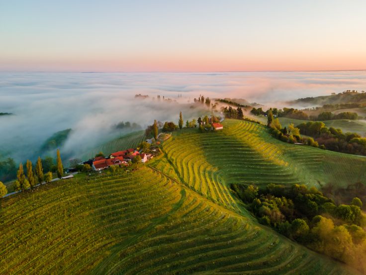 Slovénie © SimonSkafar/Getty Images