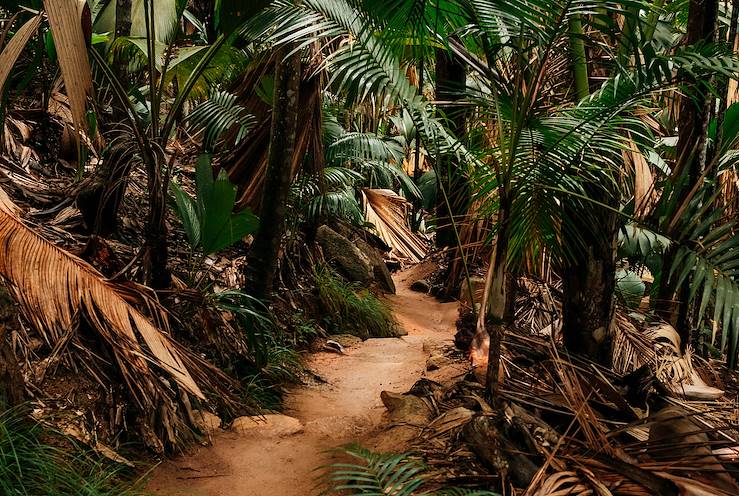 Seychelles © Vanessa Martin