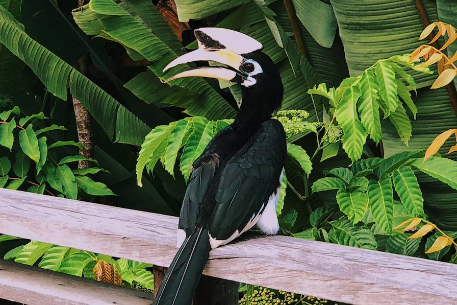 Langkawai - Malaisie © Gemma Cagnacci