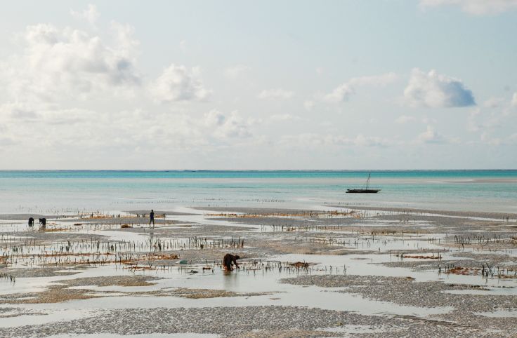 Voyage Du Nord Au Sud De La Tanzanie Et Zanzibar Voyageurs