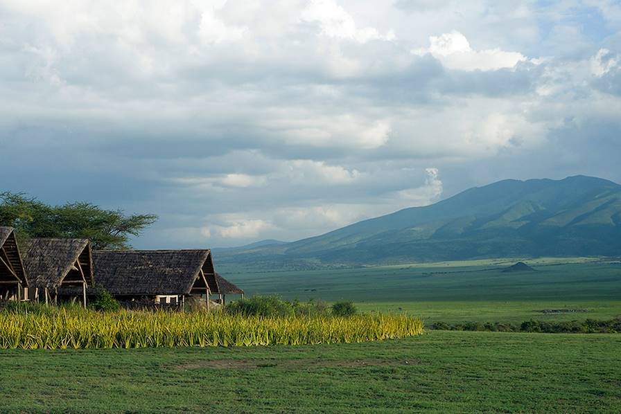 Serengeti - Tanzanie © Droits reservés