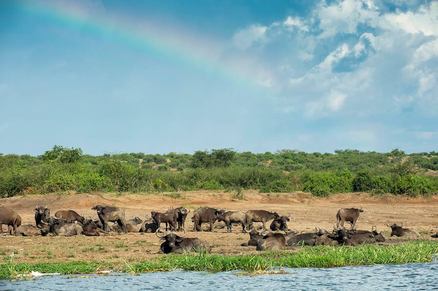 Canal de Kazinga - Parc national Queen Elizabeth - Ouganda © Andreas Hub/LAIF-REA