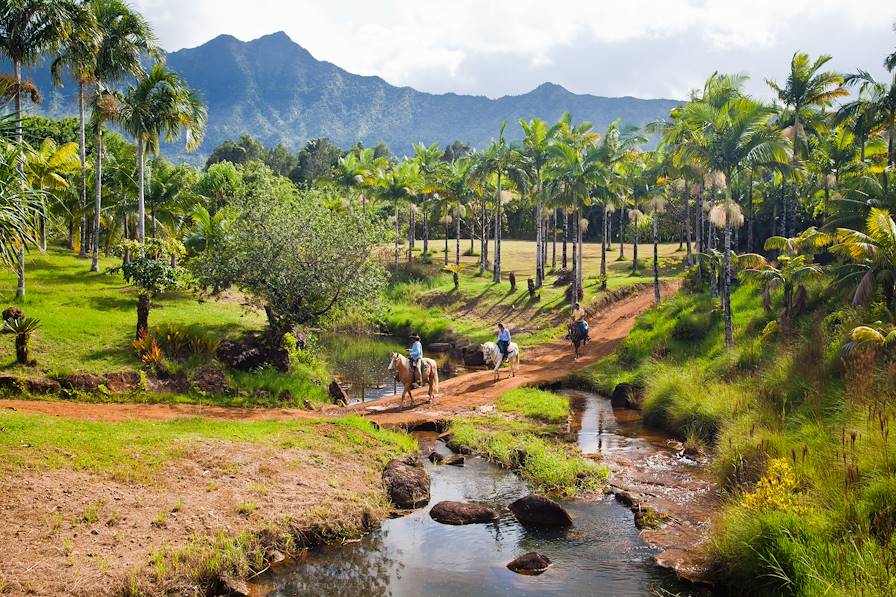 Kauai - Hawai © Tor Johnson / Hawaii Tourism Authority (HTA)