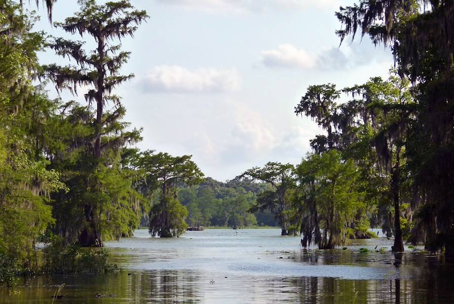 Lake Martin Reserve - Louisiane - Etats-Unis © Julie Bodnar