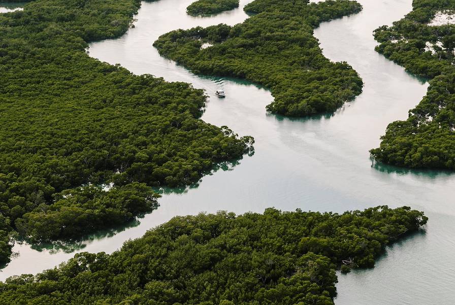 Parc national des Everglades - Floride - Etats-Unis © Andrew Hetherington/REDUX-REA