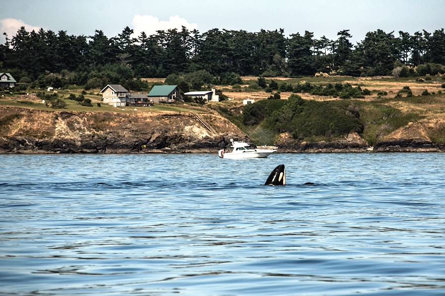 Orcas Island - îles San Juan - Etats-Unis © J Ludu/Getty Images/iStockphoto