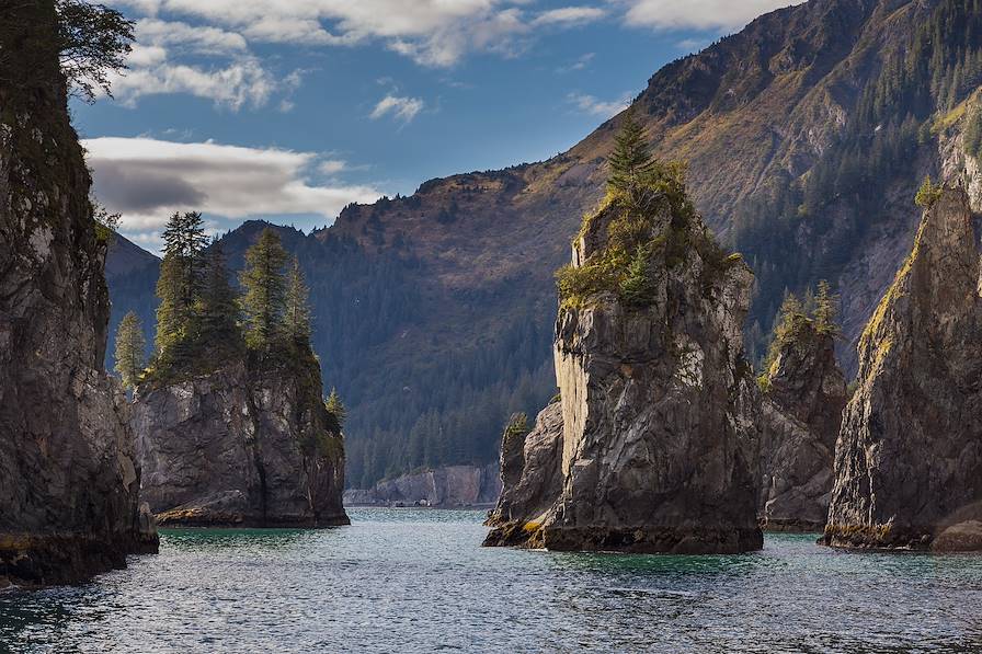 Parc national de Kenai Fjords - Alaska - Etats-Unis © Tomasz Wozniak/Fotolia