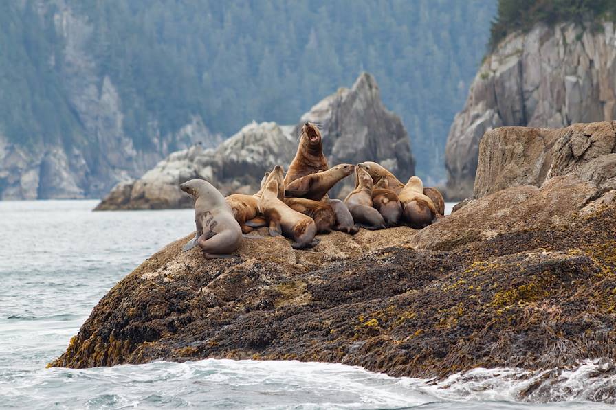 Parc national de Kenai Fjords - Alaska - Etats-Unis © Mtn Michelle/Getty Images/iStockphoto