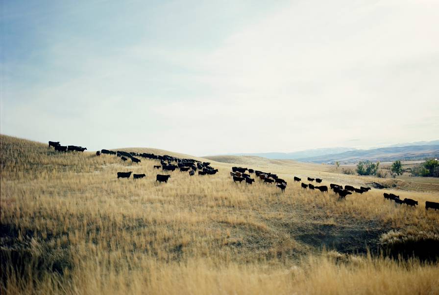 Montana - Etats-Unis © Erika Larsen/REDUX-REA