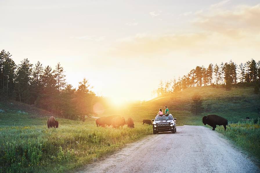 Custer State Park - Dakota du Sud - Etats-Unis © ImageSource/REA