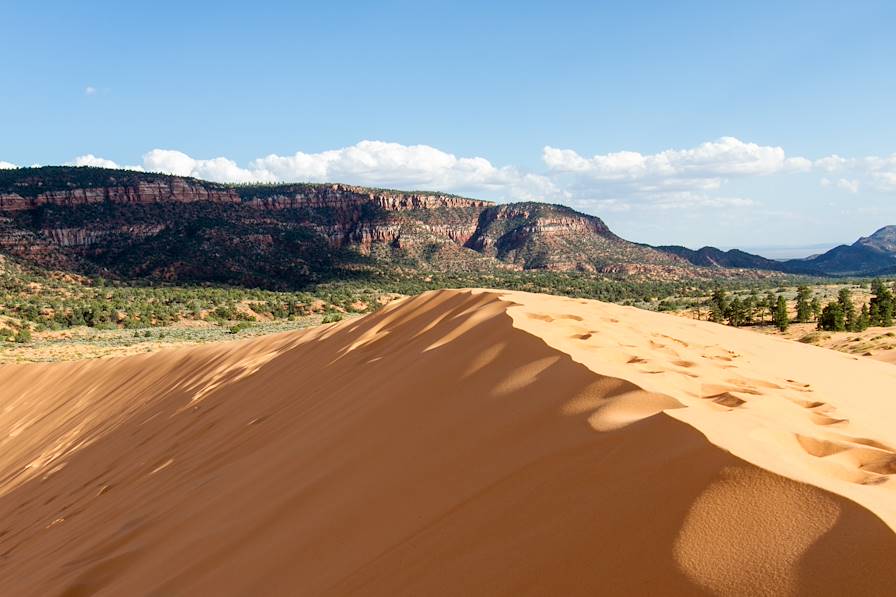 Coral Pink Sand Dunes - Etats-Unis © Karl-Heinz Schmidt/stock.adobe.com