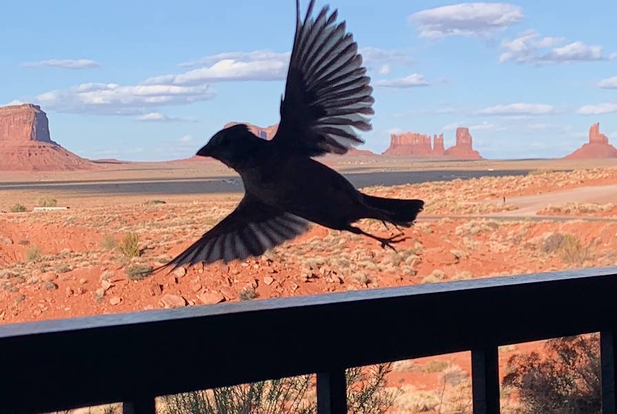 Monument Valley - Utah - Etats-Unis © Pia Riverola