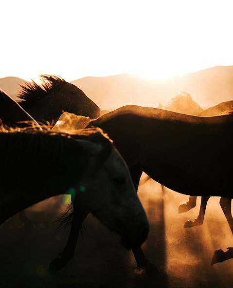 Ranch - Arizona - États-Unis © Ahmed/Unsplash